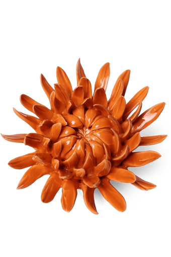 Orange Sarah Mum - Chive UK