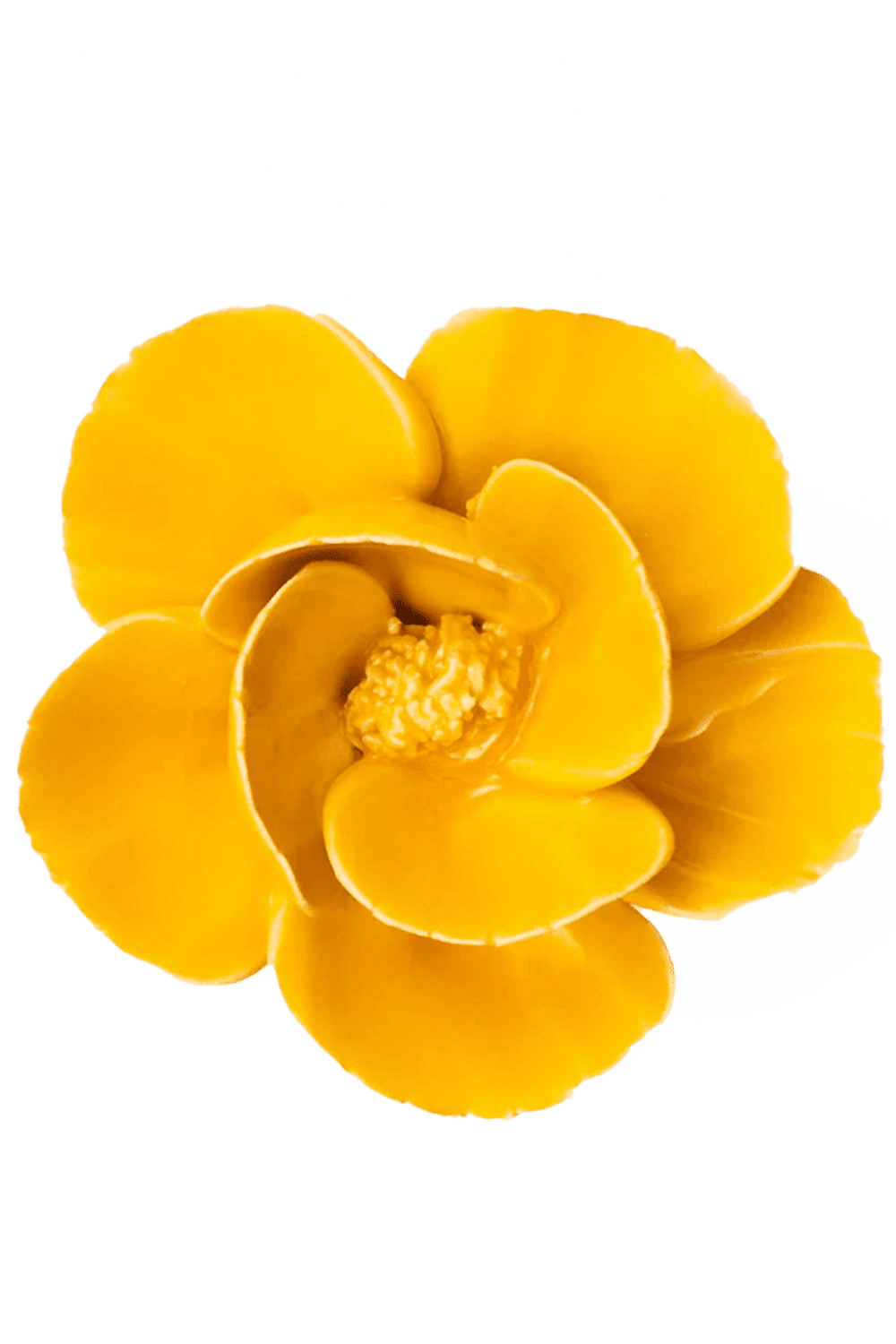 Burnt Yellow Poppy - Chive UK