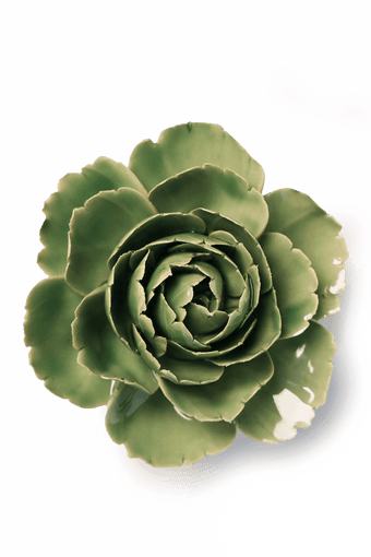 Jade Green English Rose - Chive UK