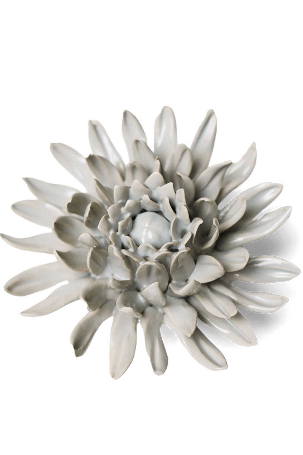 Panache Green Spider Mum - Chive UK