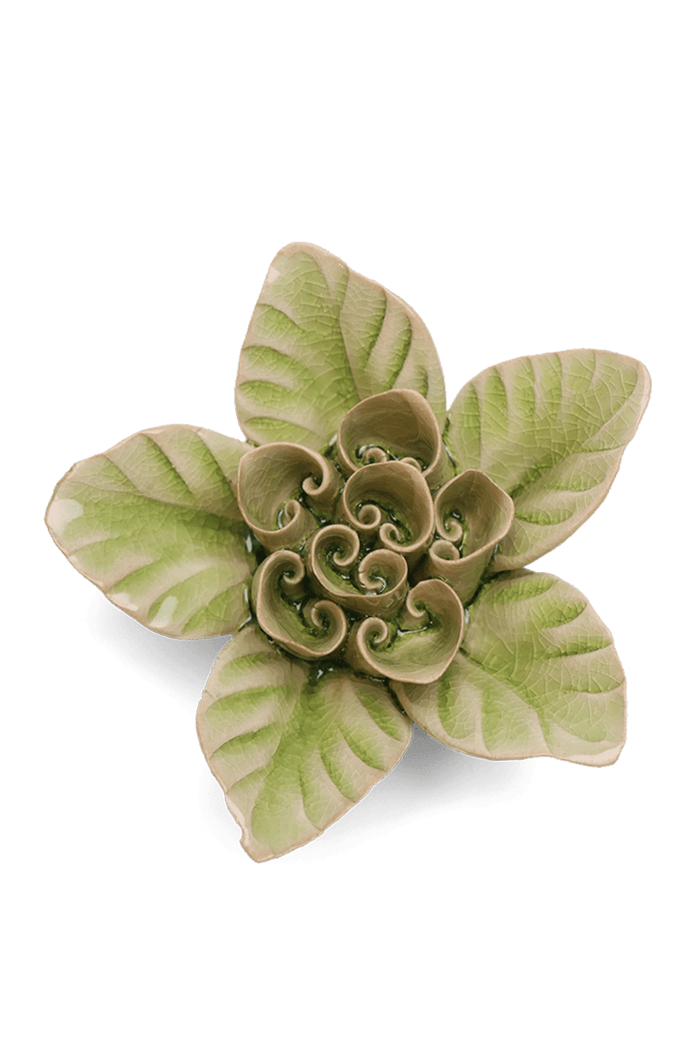 Peridot Green Maiden Lotus - Chive UK
