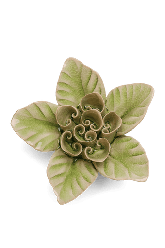 Peridot Green Maiden Lotus - Chive UK