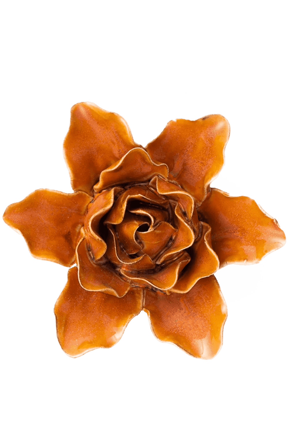 Burnt Orange Stargazer Lily - Chive UK