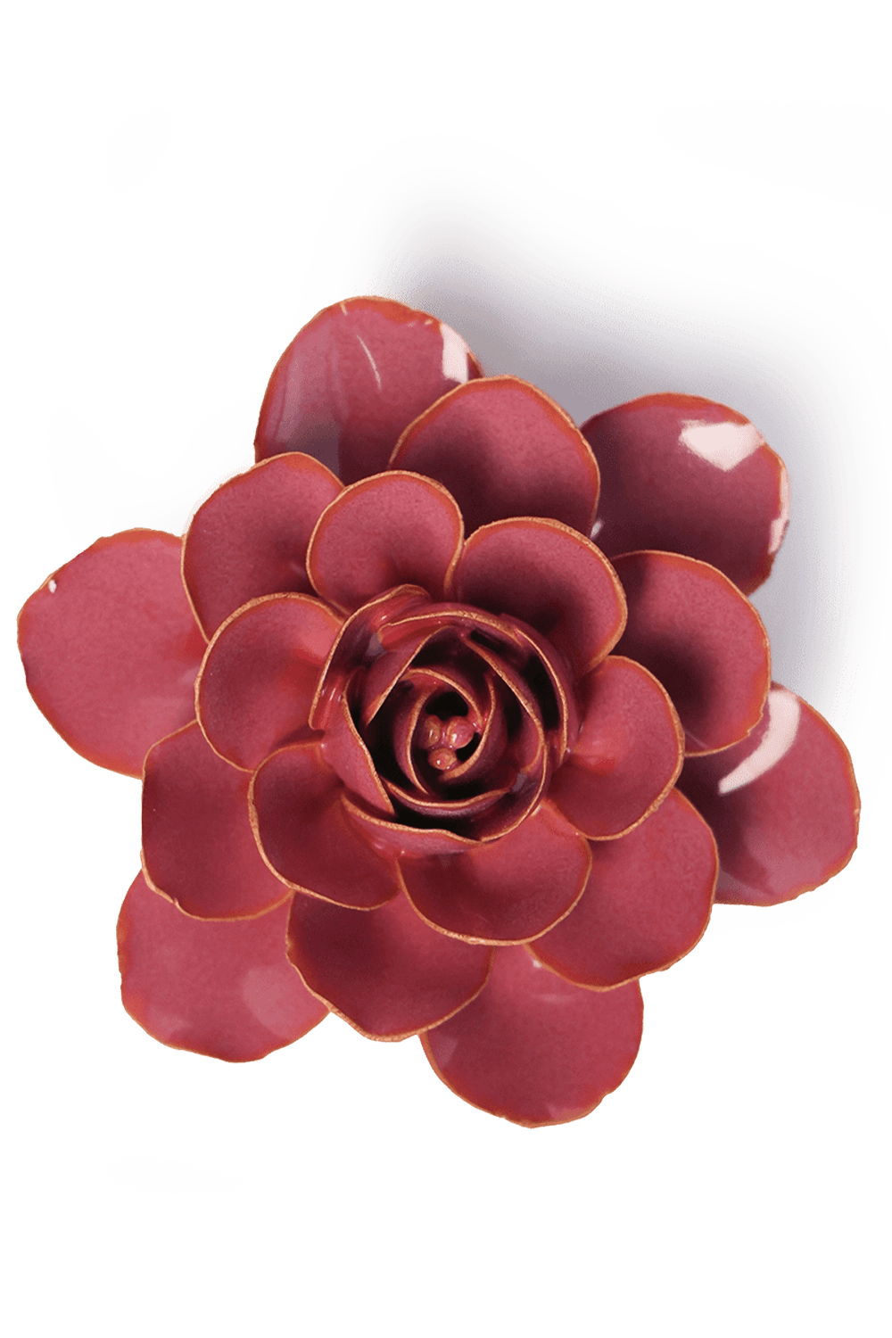 Blush Pink Begonia - Chive UK