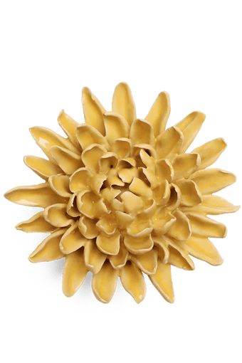 Buttercup Yellow Chrysanthemum - Chive UK