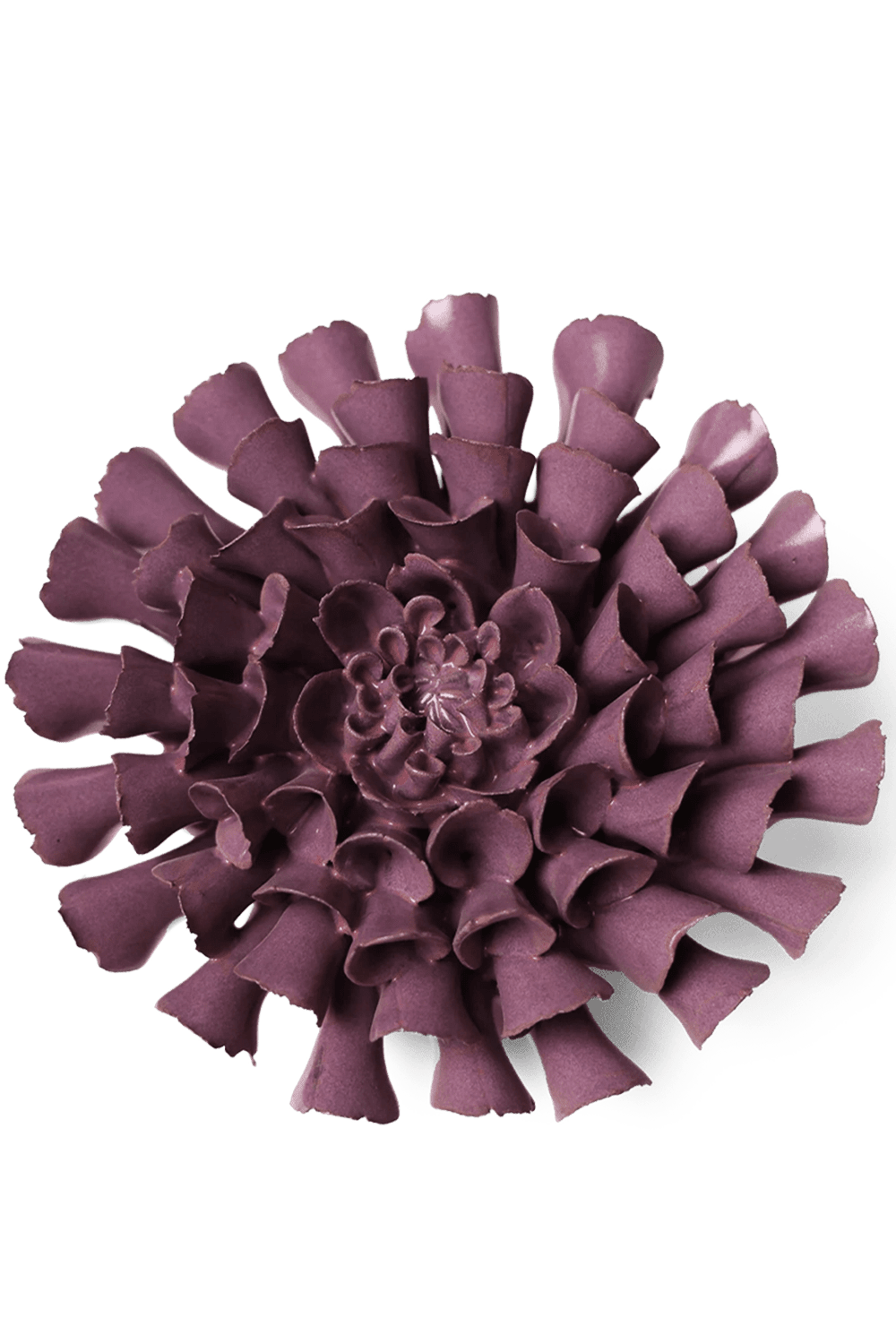 Violet Blue Cornel Dahlia - Chive UK
