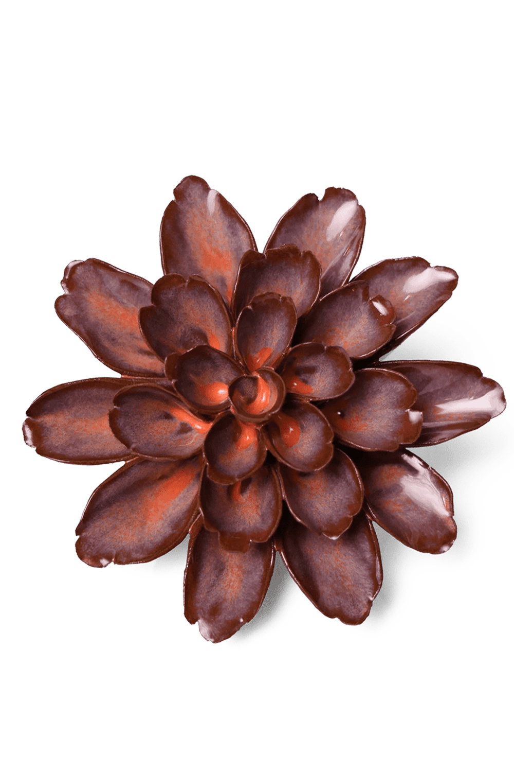 Peach Mocha Cornflower - Chive UK