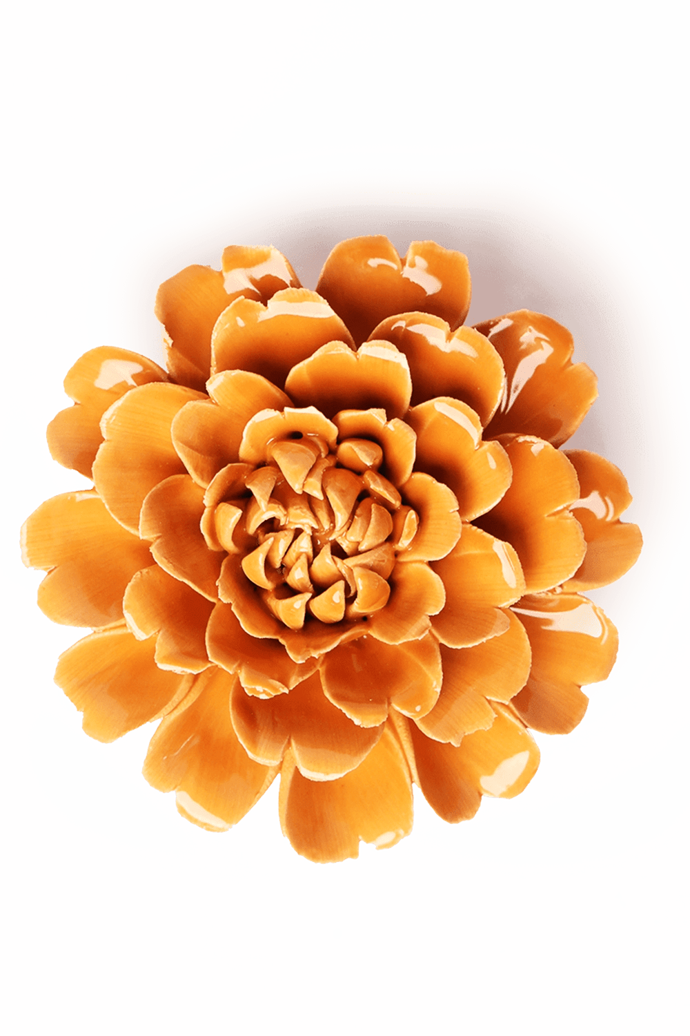 Orange Fiesta Marigold - Chive UK