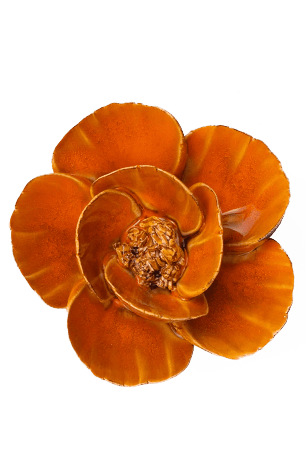 Burnt Orange Poppy - Chive UK