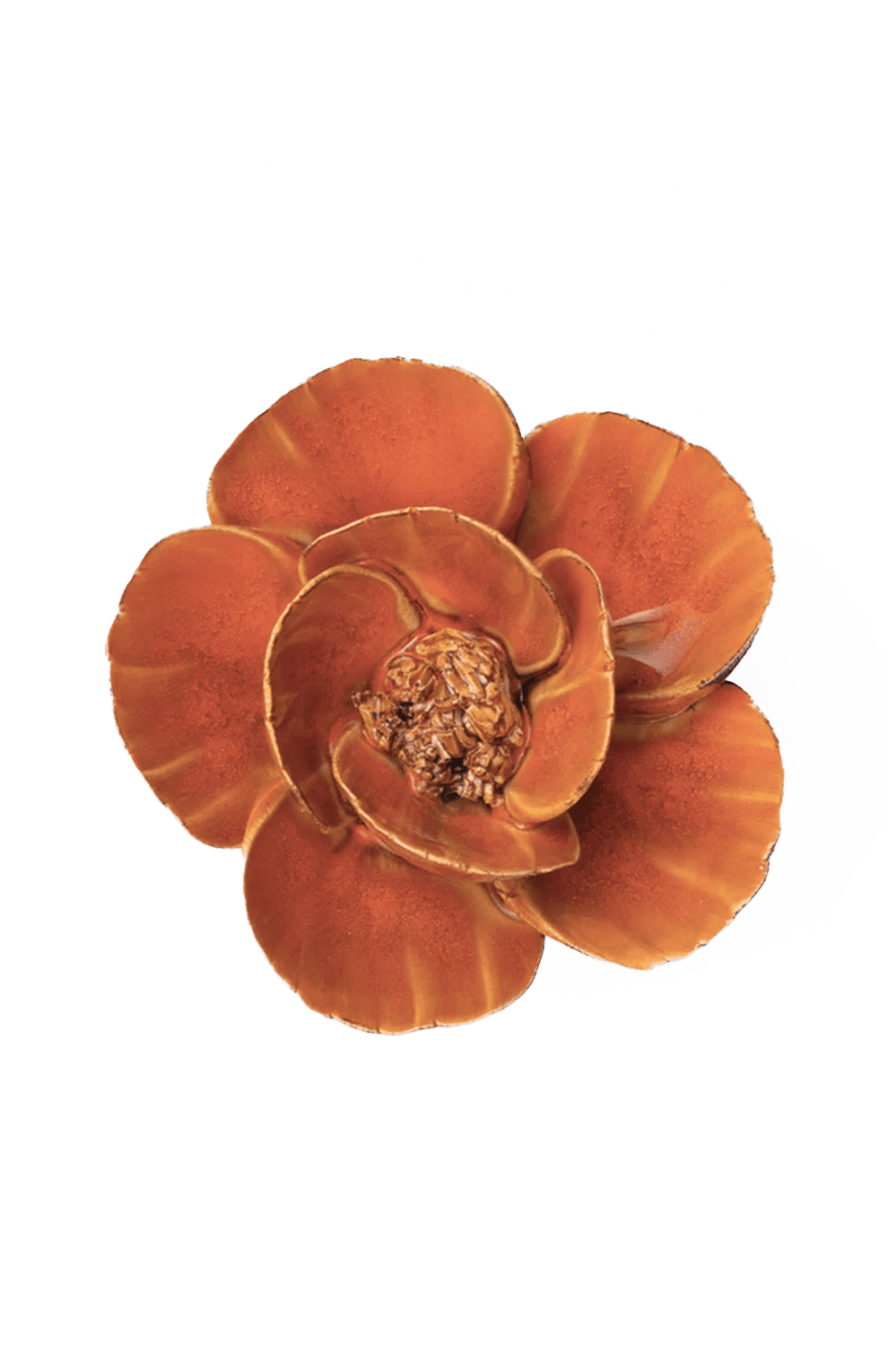 Burnt Orange Poppy - Chive UK