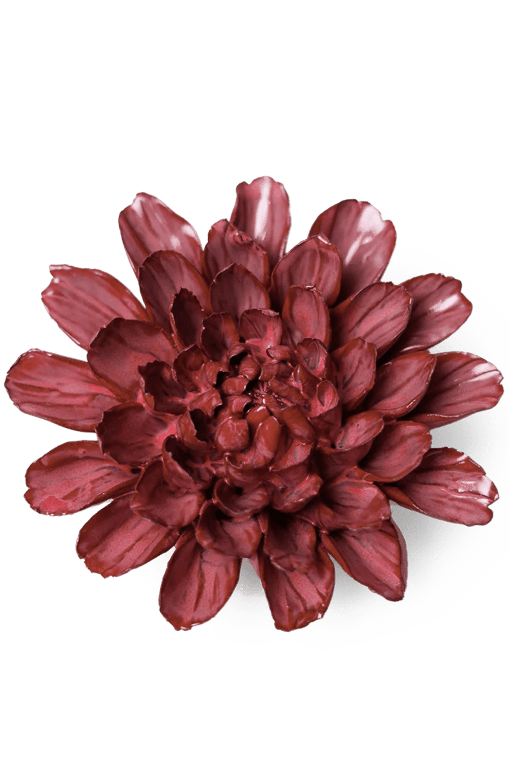 Blush Pink Star Dahlia - Chive UK