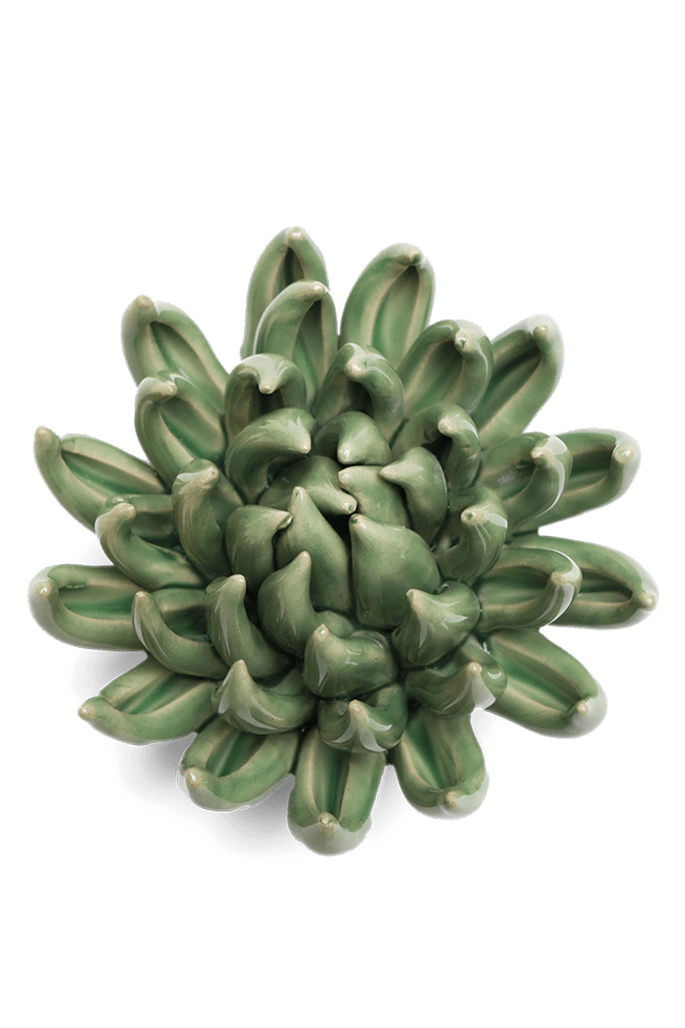 Jade Green - Succulent - handmade by Chive Studio Toronto
