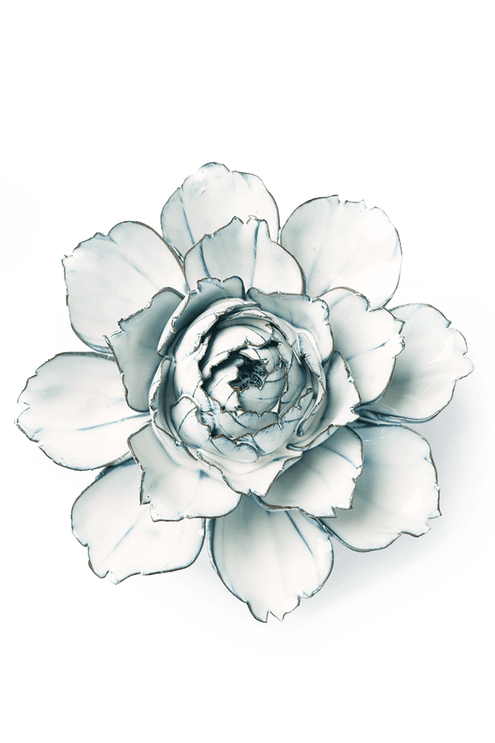 Blue White Carnation - Chive UK