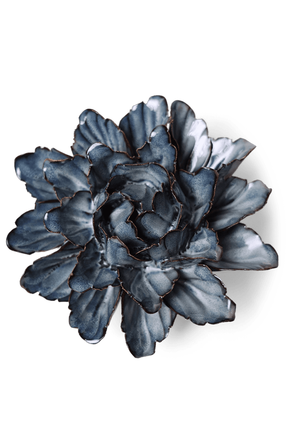 Navy Sorbet Peony - Chive UK