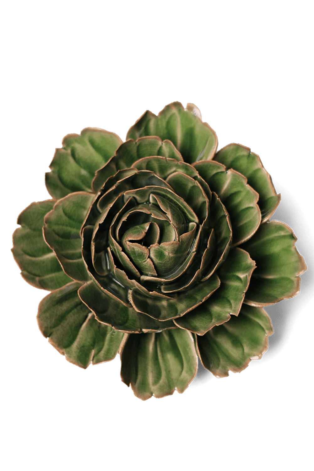 Avocado Green Rozella Peony - Chive UK