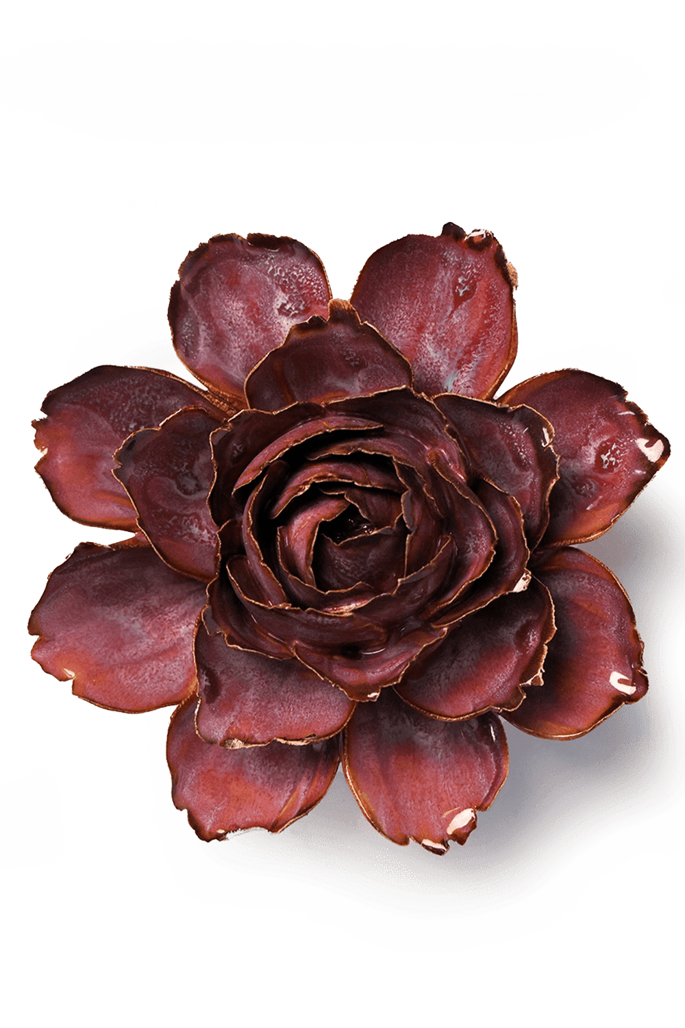 Dewberry Camellia - Chive UK