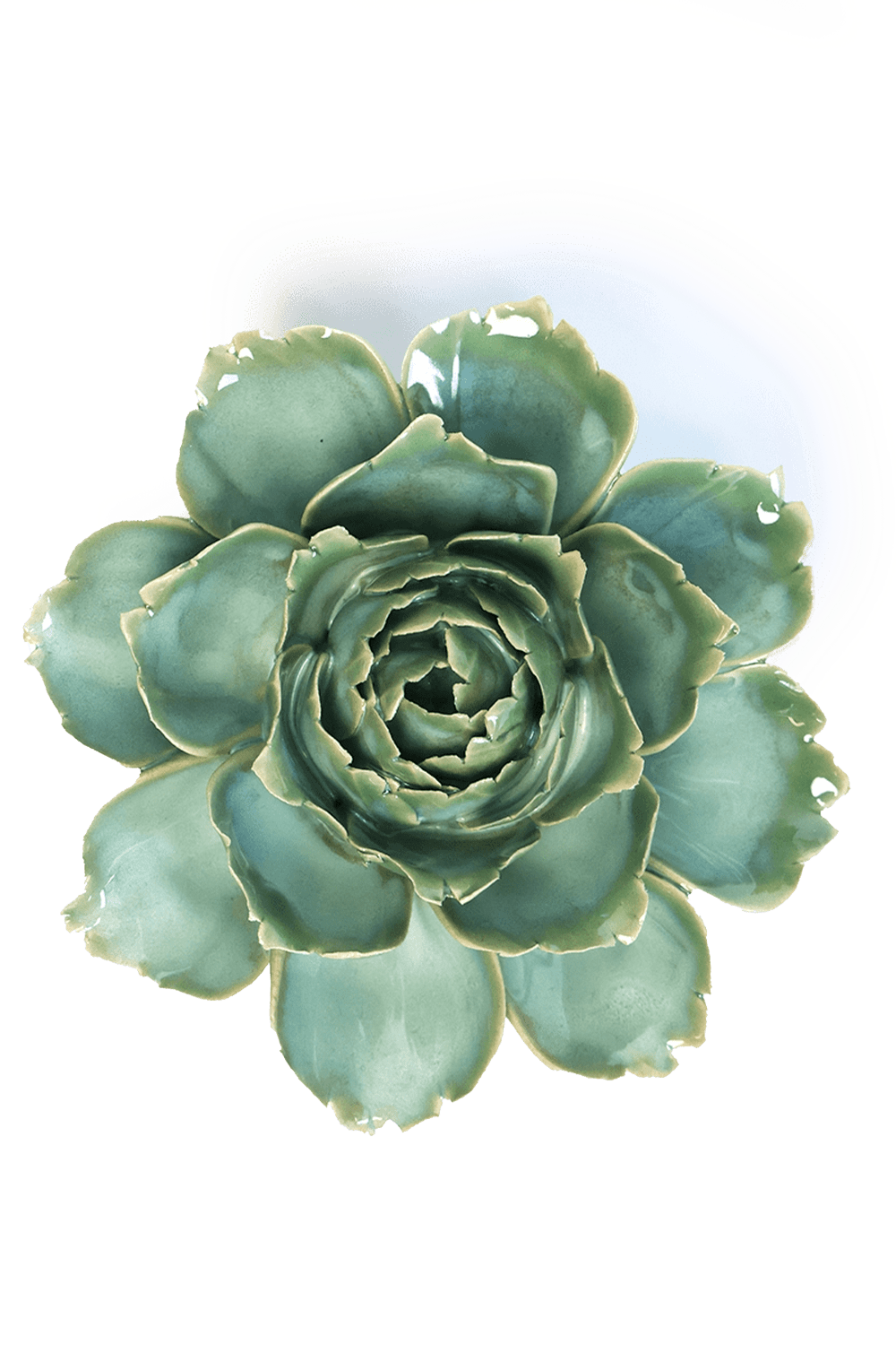 Milk Teal Camellia - Chive UK