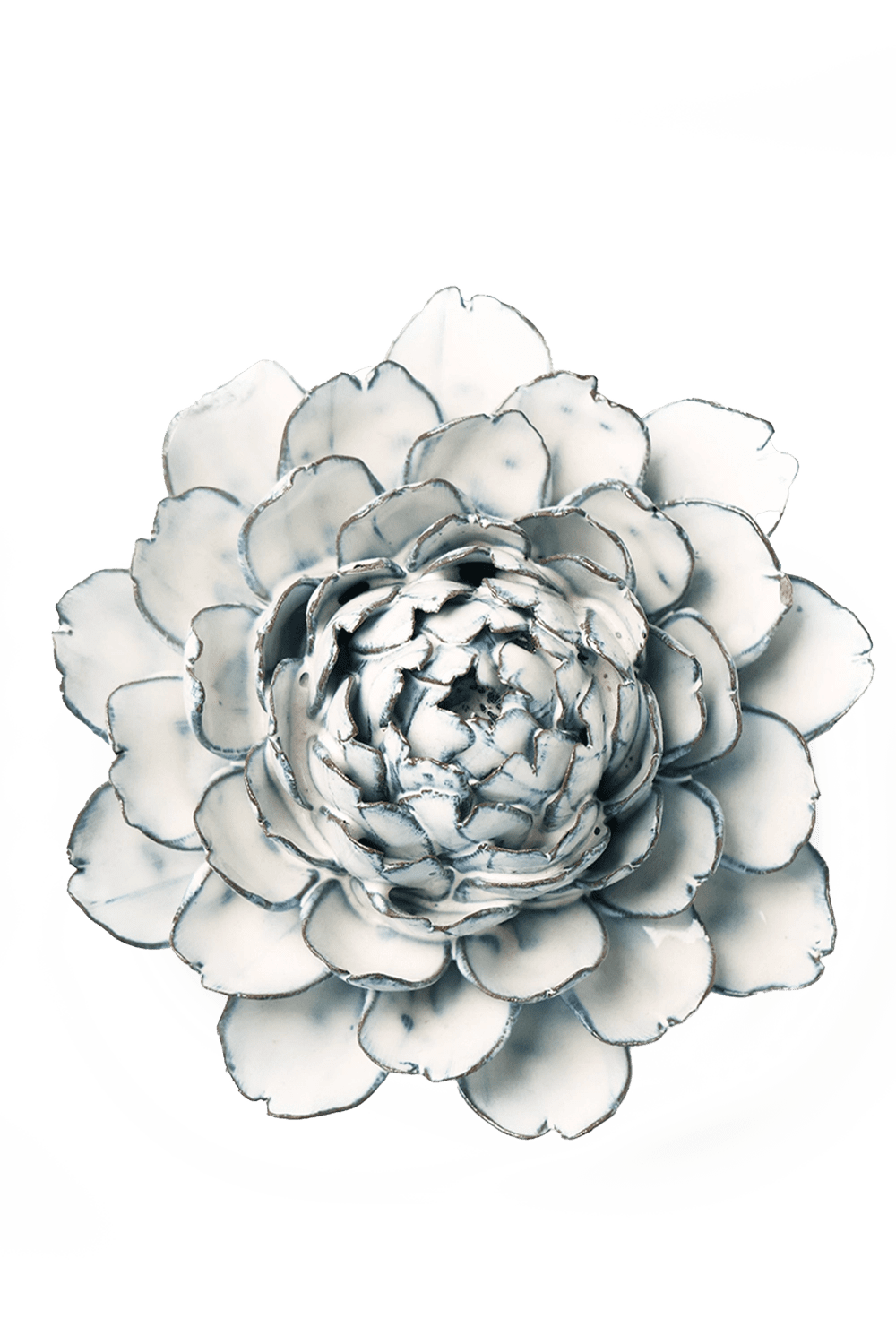 Blue White Hermione Peony - Chive UK