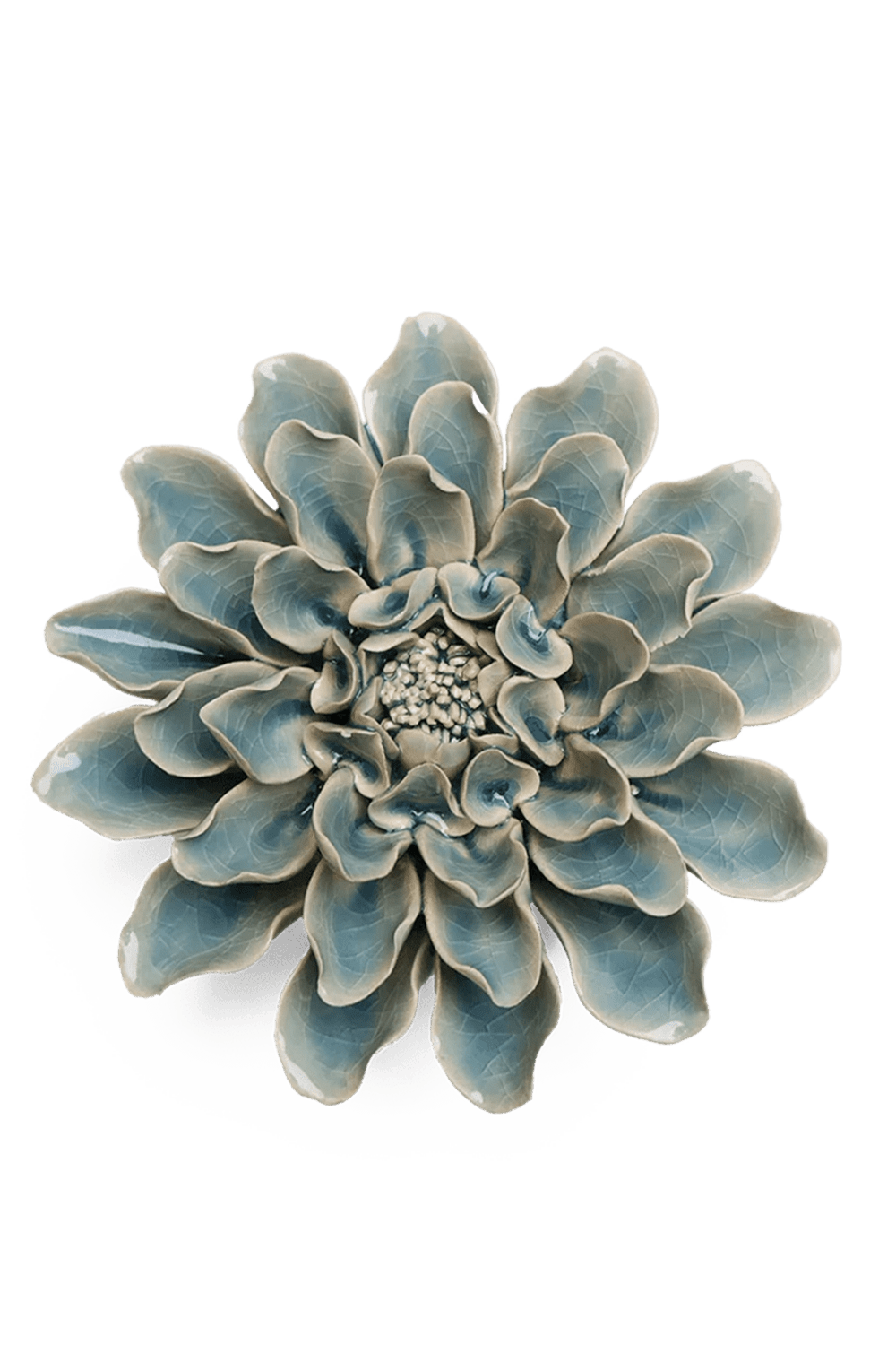 Powder Blue Aphrodite Dahlia - Chive UK