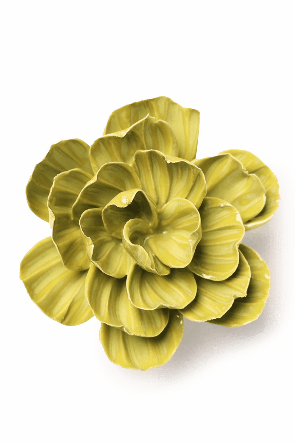 Chartreuse Primrose - Chive UK