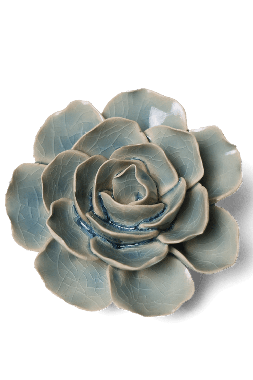 Powder Blue Amandine Ranunculus - Chive UK