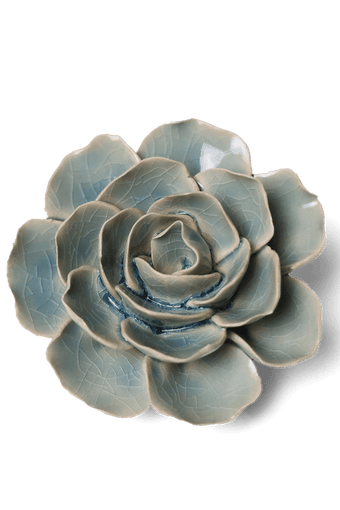 Powder Blue Amandine Ranunculus - Chive UK