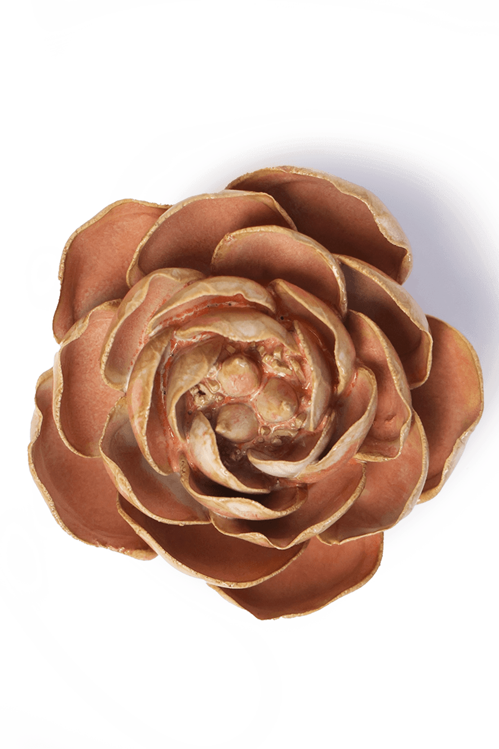 Peach Pink Big Ben Peony - Chive UK