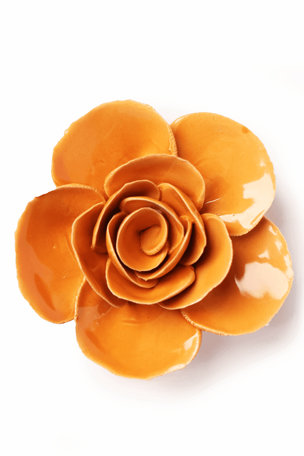 Orange Elegance Ranunculus - Chive UK