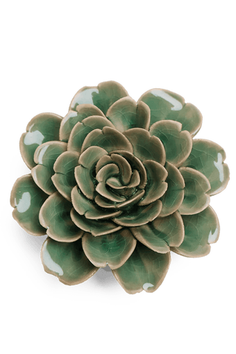 Jungle Green Tea Rose - Chive UK