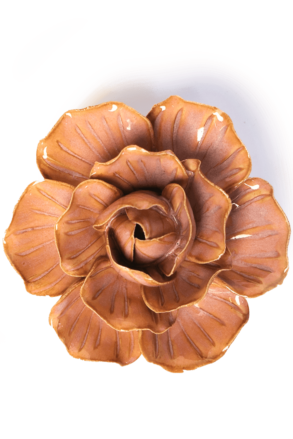 Peach Pink Solar Carnation - Chive UK