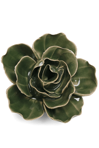 Fir Green Butterfly Ranunculus - Chive UK