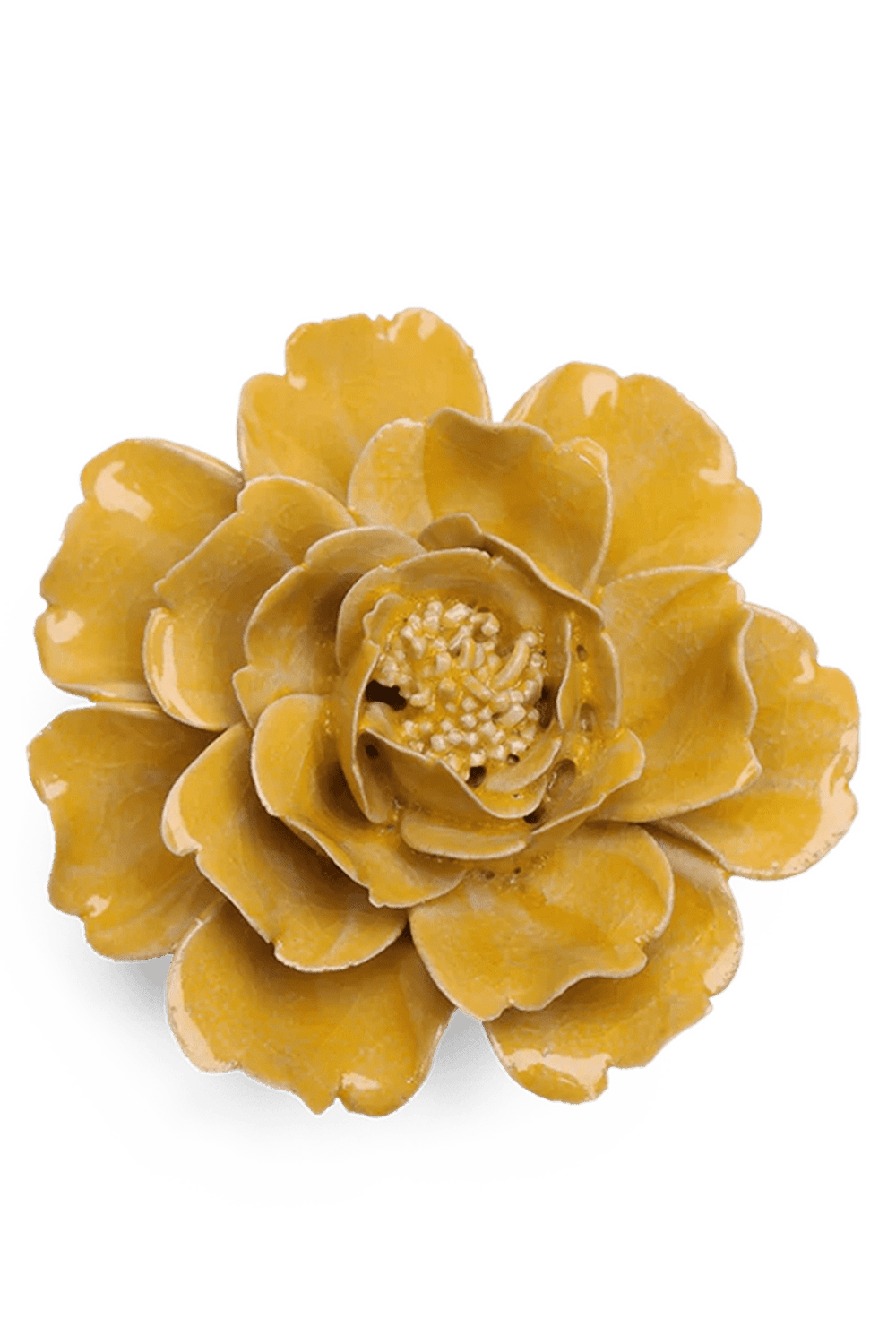 Burnt Yellow Rose - Chive UK