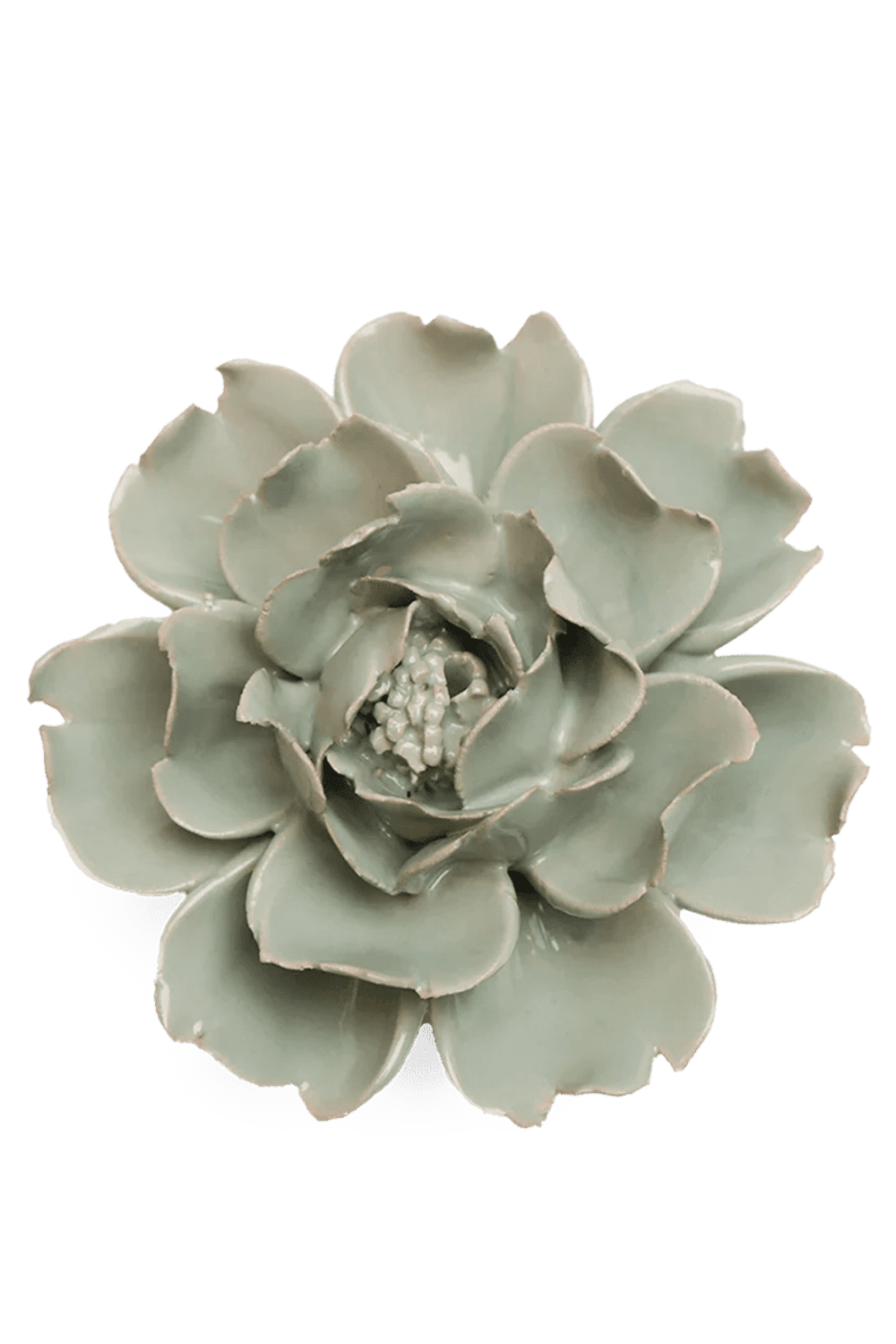Pistachio Green Rose - Chive UK
