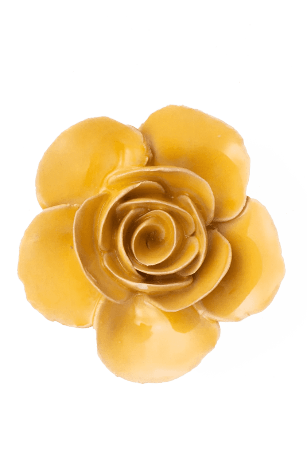 Burnt Yellow Elegance Ranunculus - Chive UK