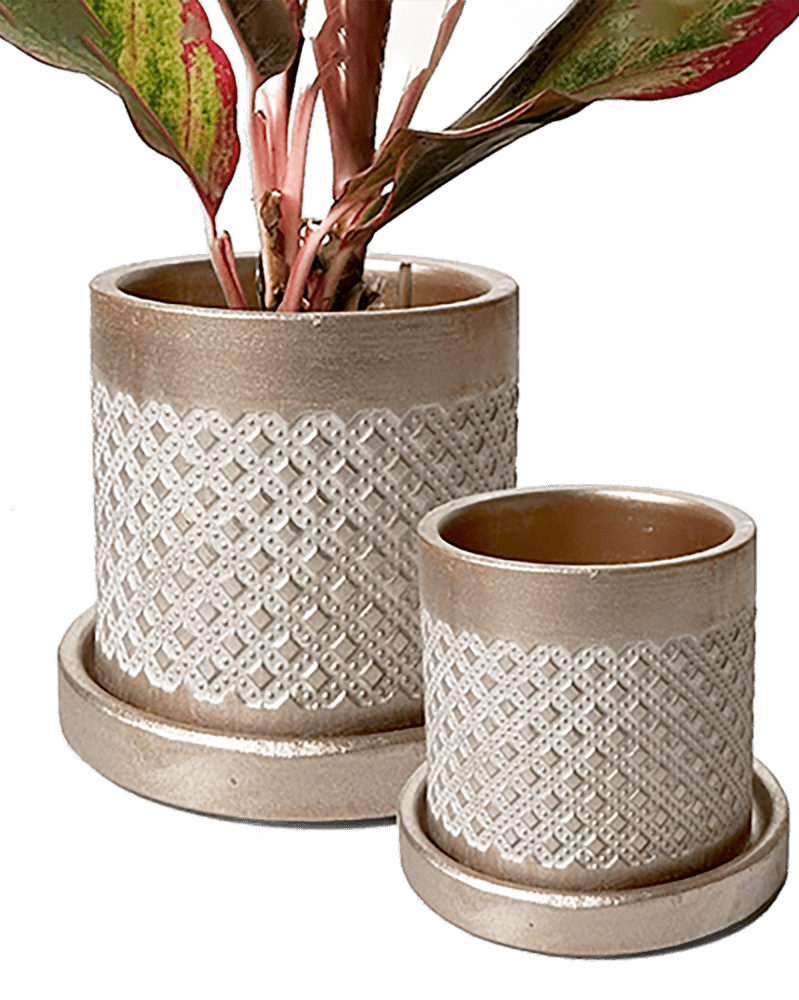 Balter Ceramic Pot And Saucer Set - Chive UK