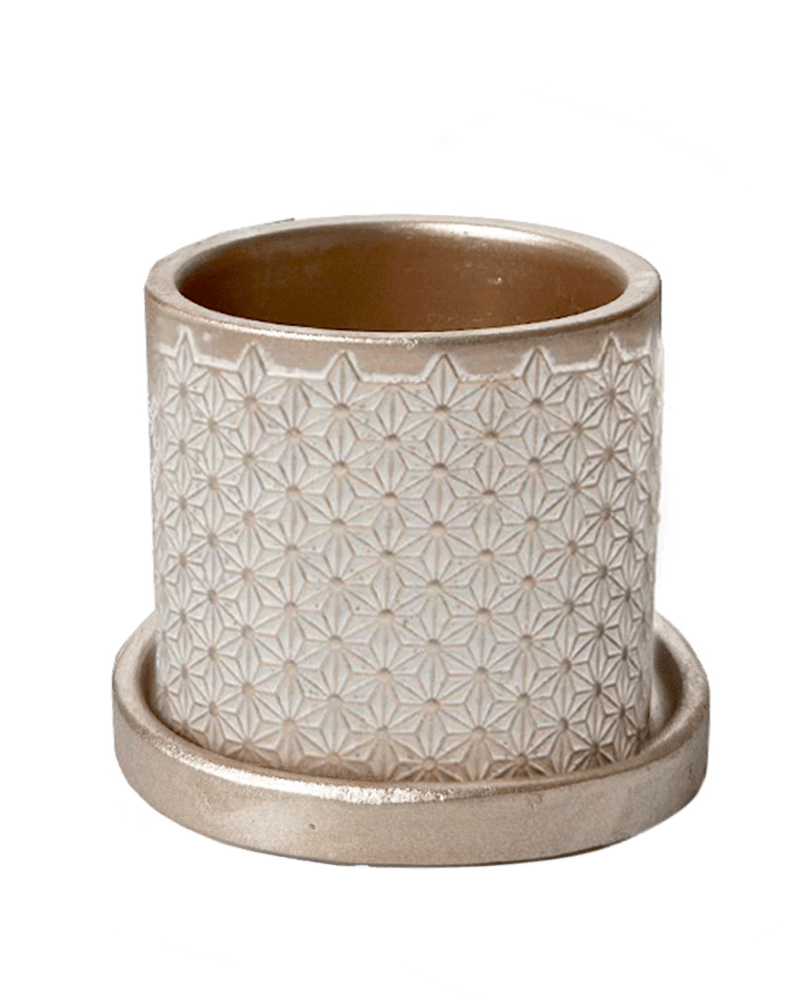 Balter Ceramic Pot And Saucer Set - Chive UK