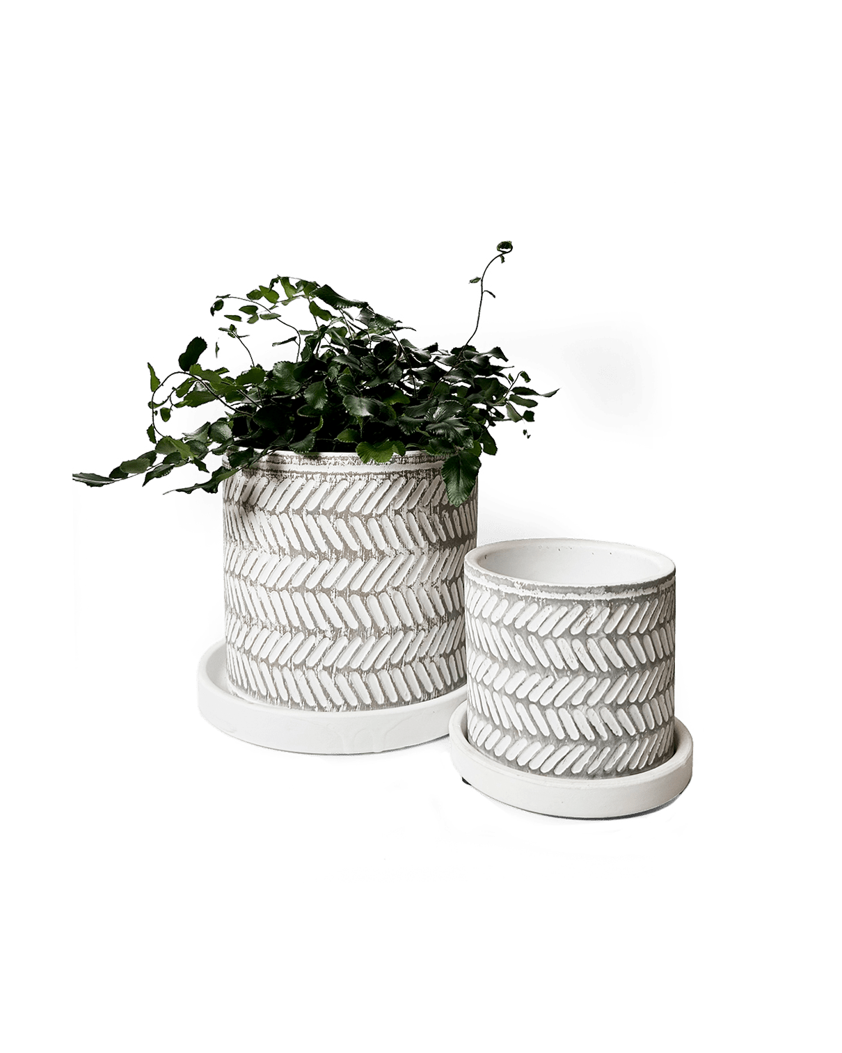 Balter Ceramic Pot And Saucer Set - Chive UK