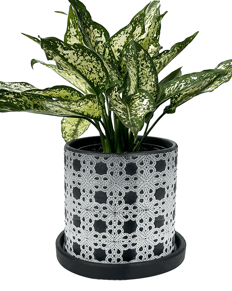 Balter Ceramic Pot And Saucer Set - Chive UK