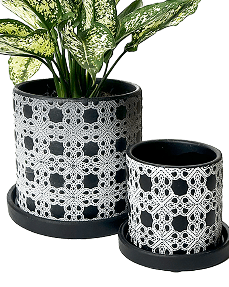 Balter Ceramic Pot And Saucer Set - Chive UK