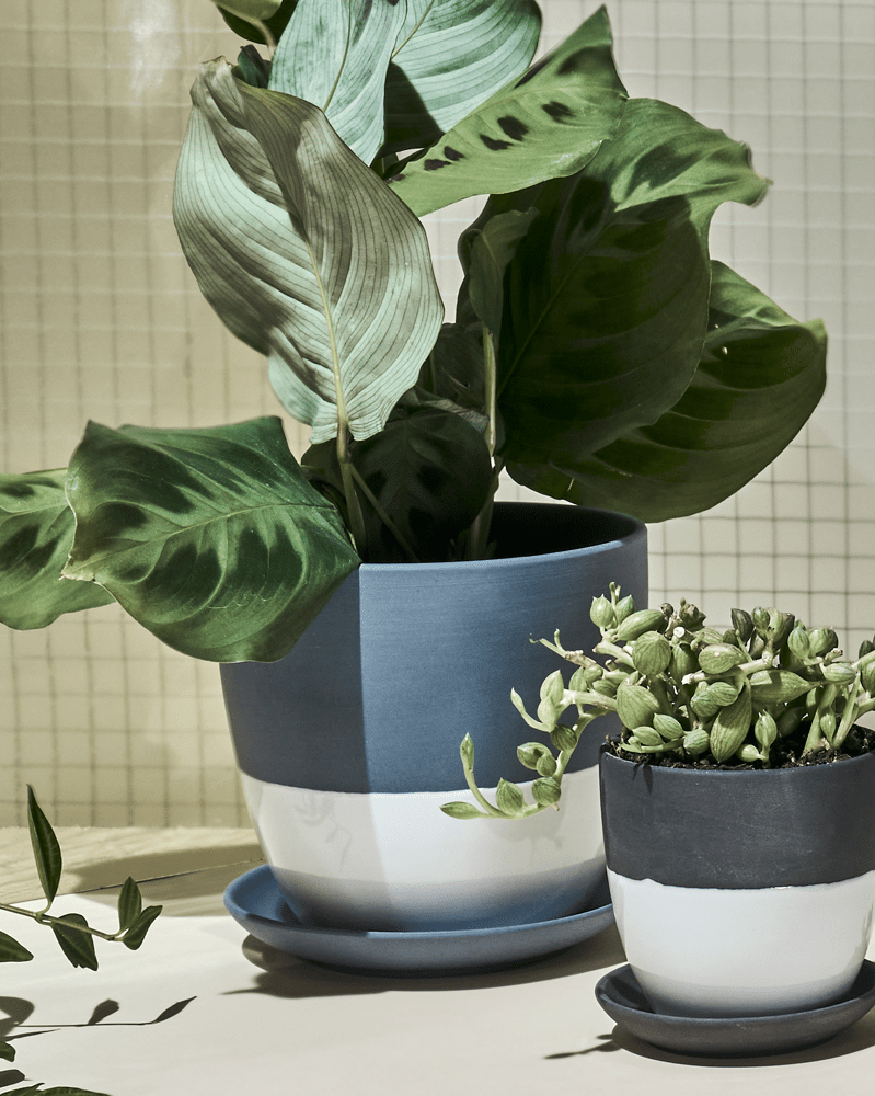 Dyad Porcelain Modern Indoor Plant Pot With Saucer - Chive UK
