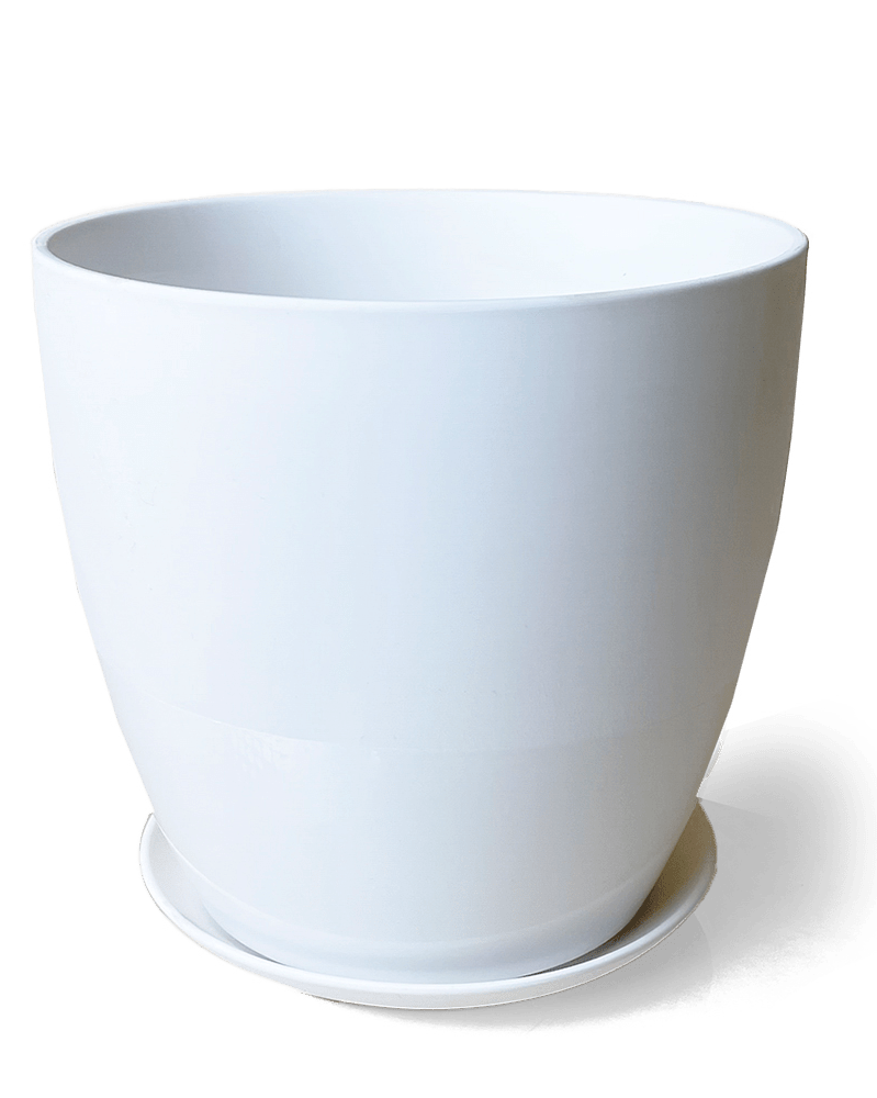 Dyad Porcelain Modern Indoor Plant Pot With Saucer - Chive UK