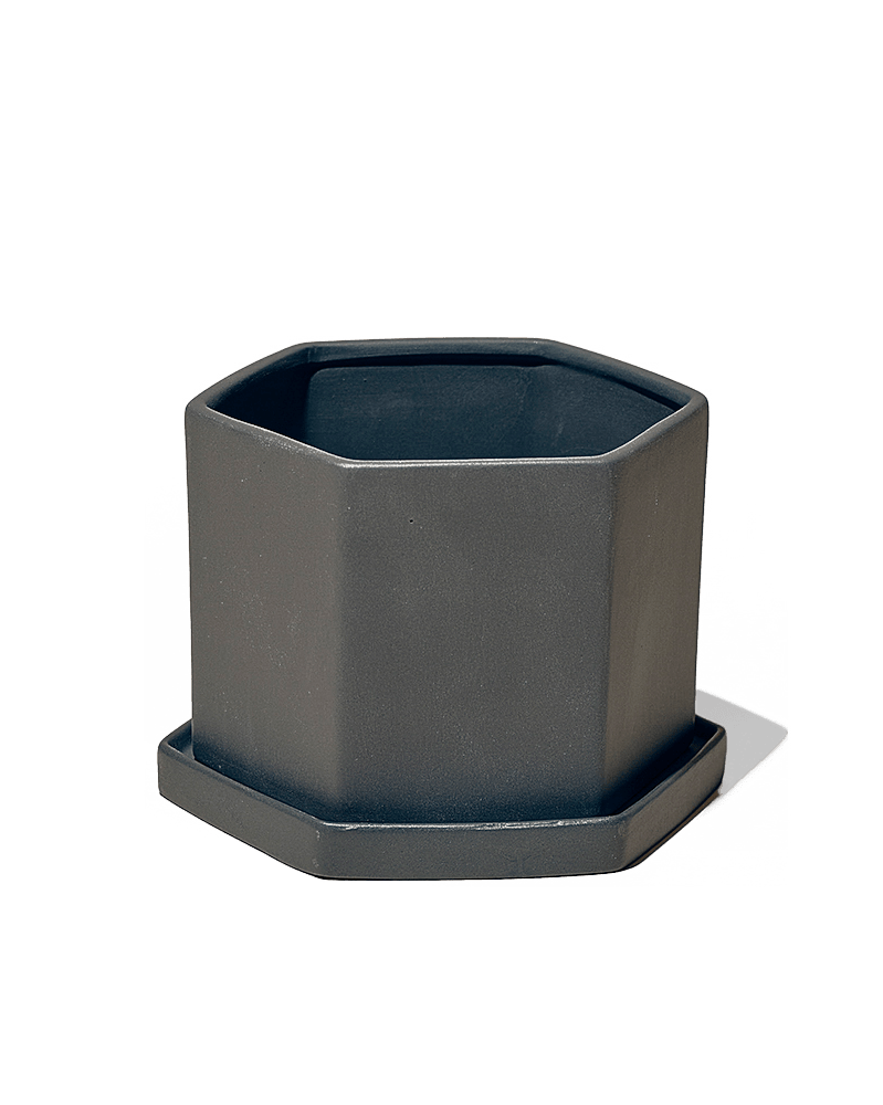 Hexi Porcelain Pot With Drainage Hole - Chive UK