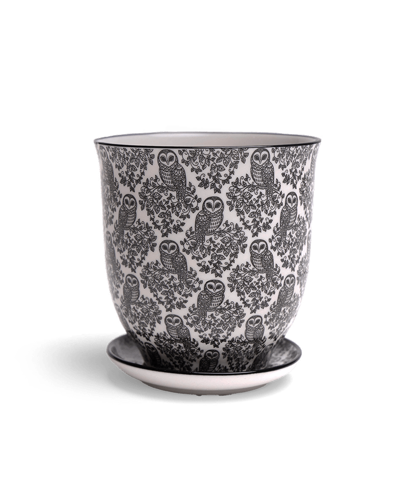 Liberte Porcelain Pot And Saucer Set With Drainage - Chive UK