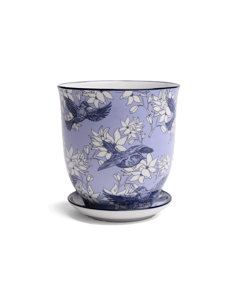 Liberte Porcelain Pot And Saucer Set With Drainage - Chive UK