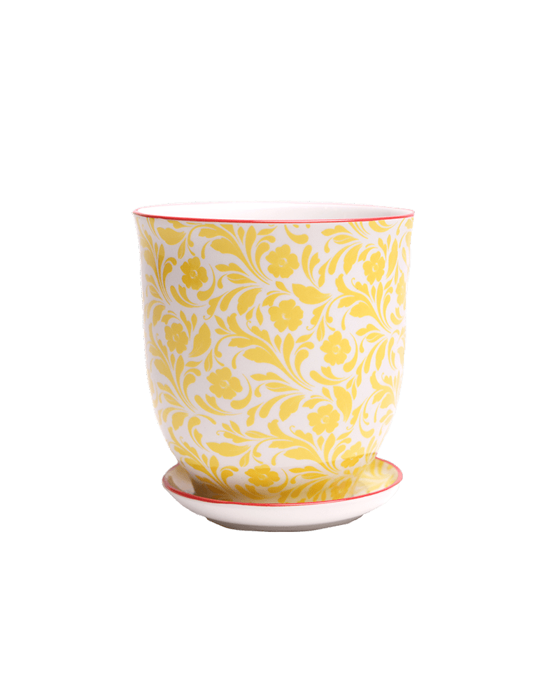 Liberte Porcelain Pot And Saucer Set With Drainage - Chive UK