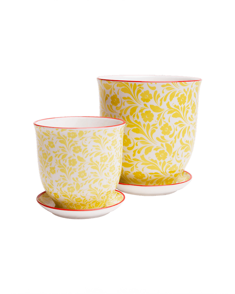 Liberte Porcelain Pot And Saucer Set With Drainage - Chive UK