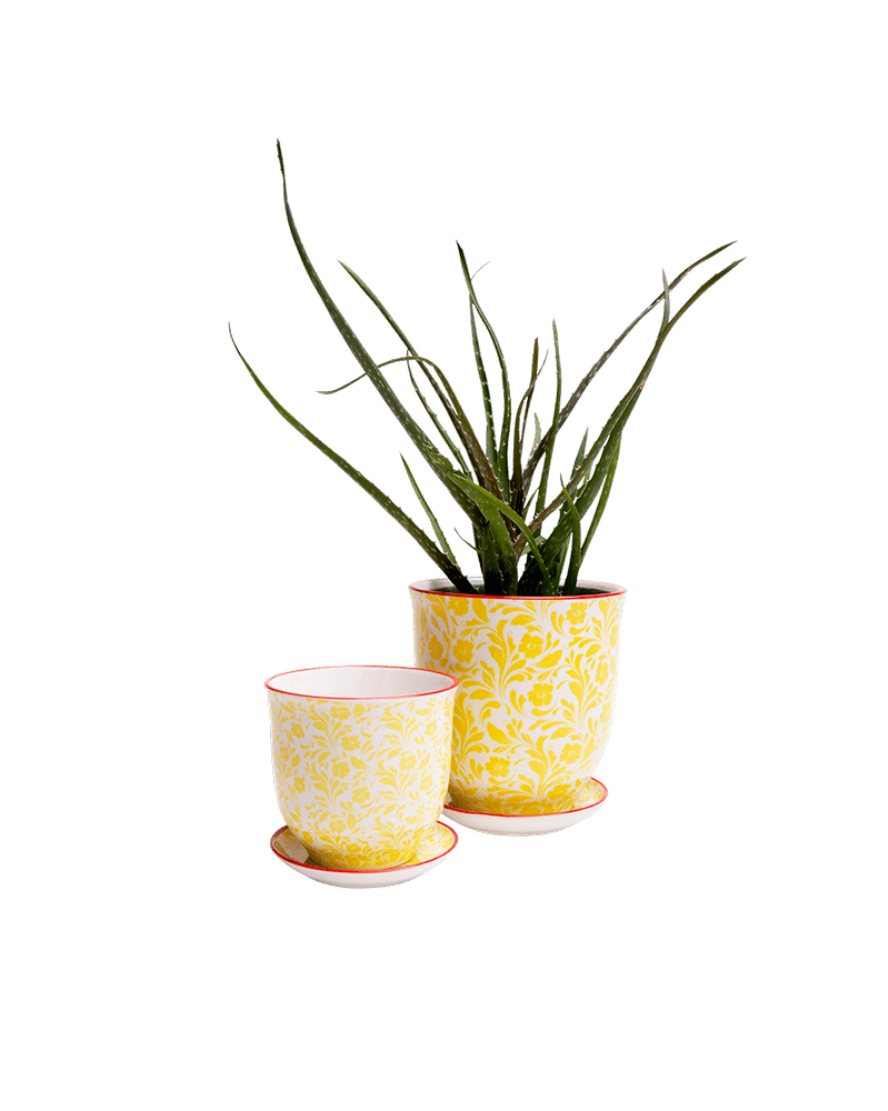Liberte Porcelain Pot And Saucer Set With Drainage - Chive UK