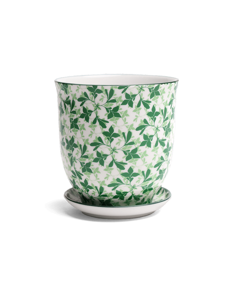 Liberte Porcelain Pot And Saucer Set With Drainage - Chive UK