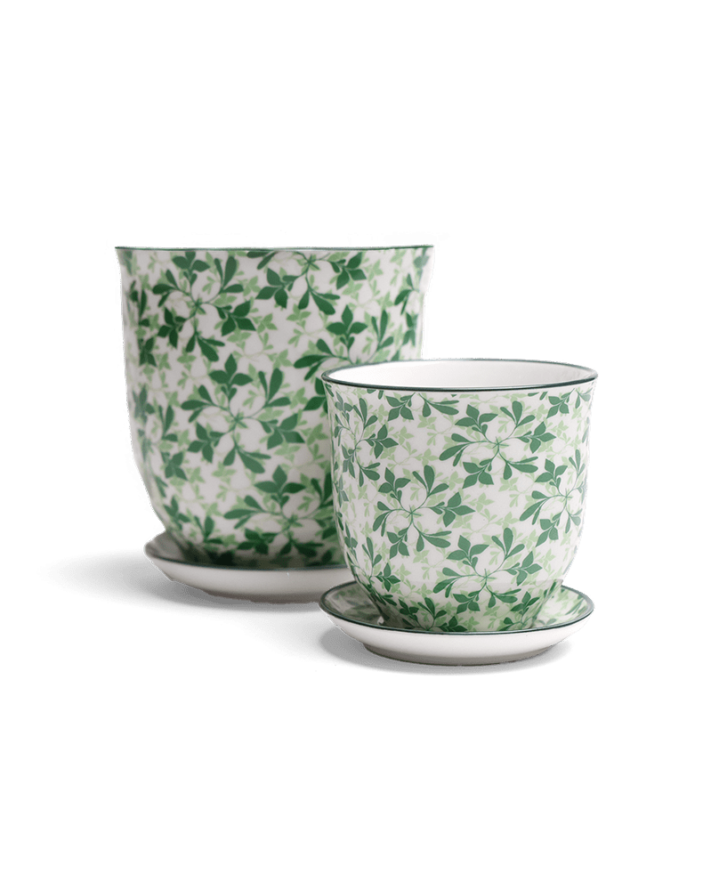 Liberte Porcelain Pot And Saucer Set With Drainage - Chive UK