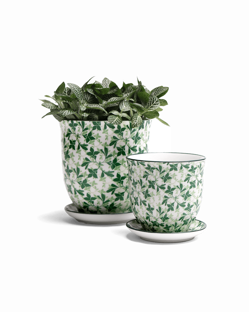 Liberte Porcelain Pot And Saucer Set With Drainage - Chive UK